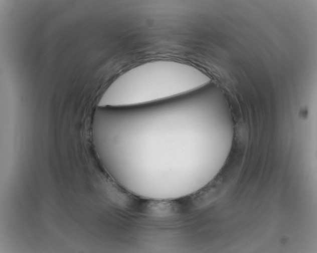 X0000096950181200802080929