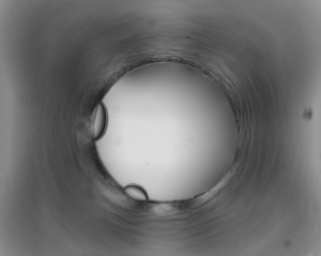 X0000096950183200802080929
