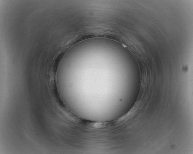 X0000096950184200802080929