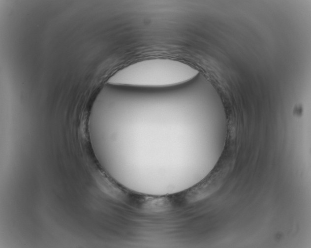 X0000096950185200802080929