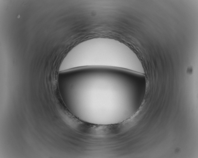 X0000096950186200802080929