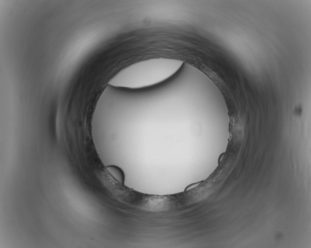 X0000096950189200802080929