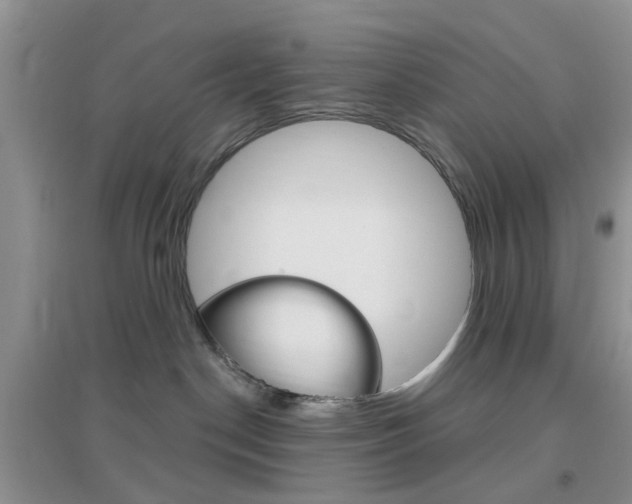 X0000096950190200802080929
