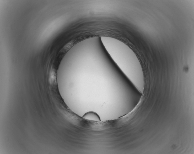 X0000096950191200802080929