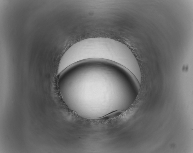 X0000096950192200802080929