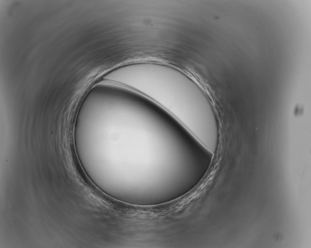 X0000096950193200802080928