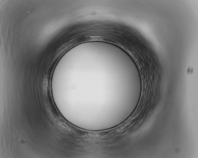 X0000096950194200802080928