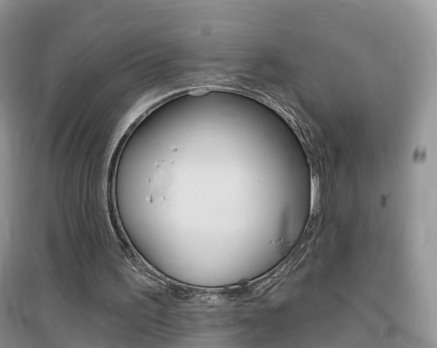 X0000096950195200802080928