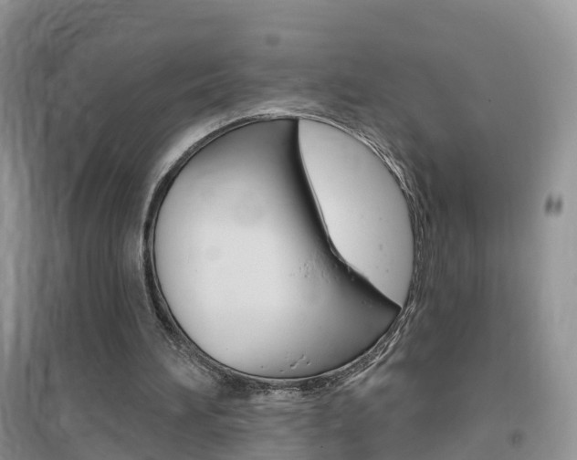 X0000096950196200802080928