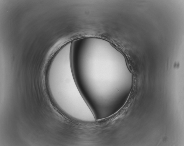 X0000096950197200802080928
