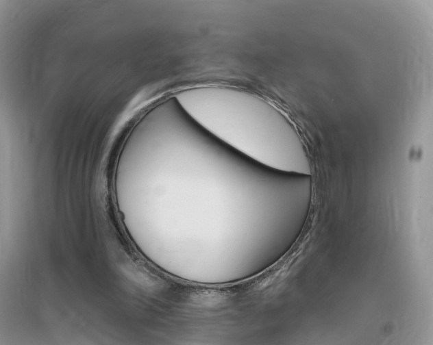 X0000096950198200802080928