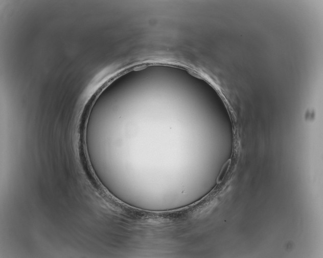 X0000096950199200802080928