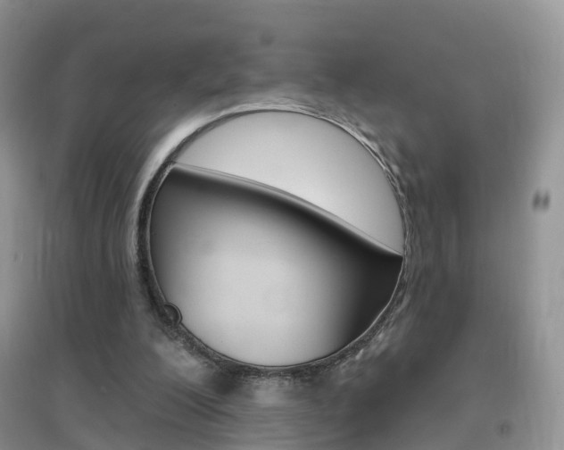 X0000096950200200802080928