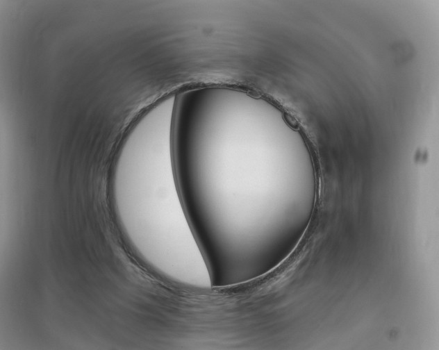 X0000096950201200802080928