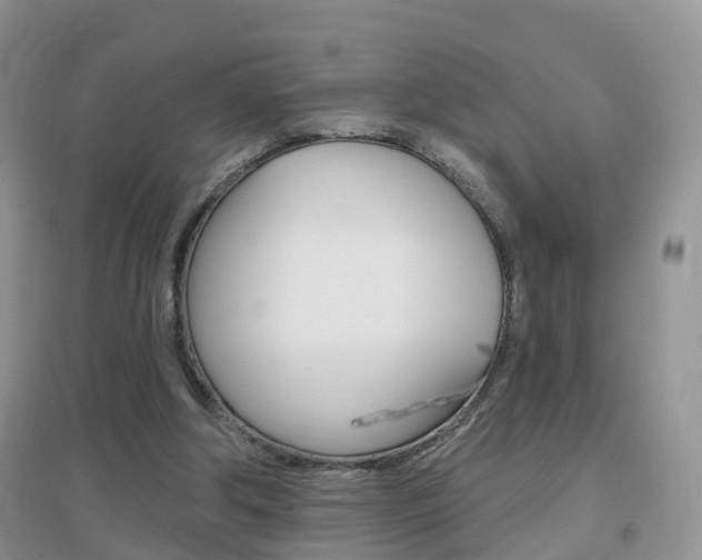 X0000096950202200802080928