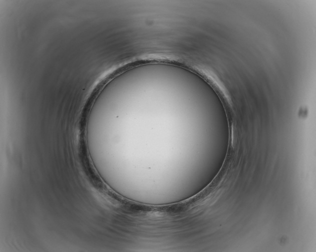 X0000096950204200802080928