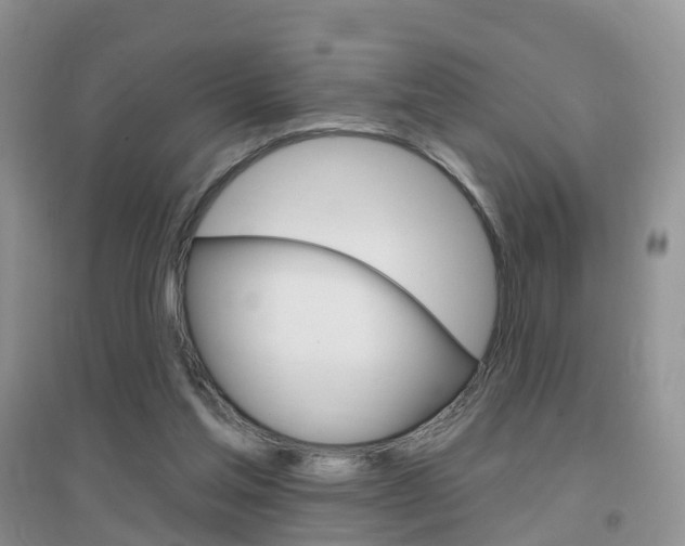 X0000096950205200802080928