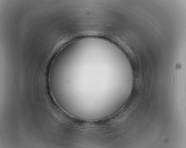 X0000096950207200802080928
