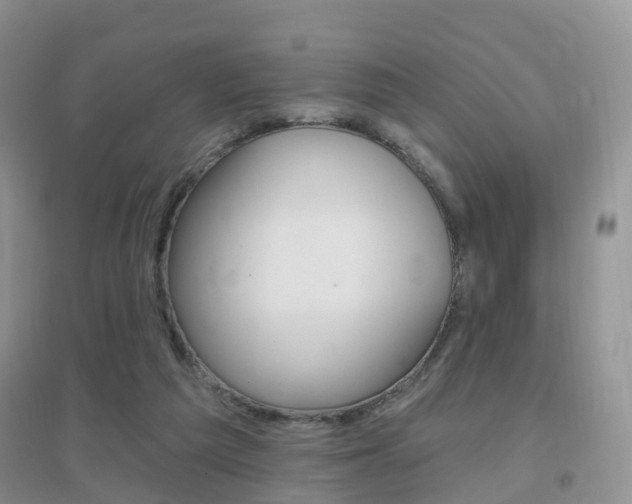X0000096950209200802080928