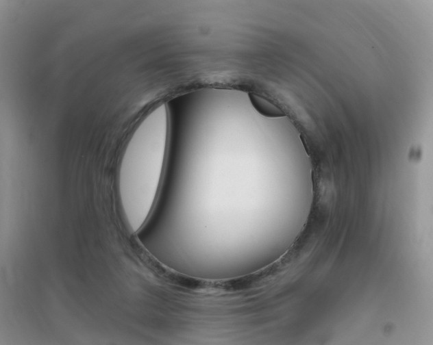 X0000096950211200802080928