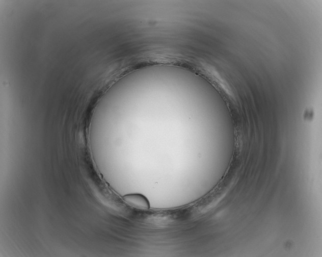 X0000096950213200802080928