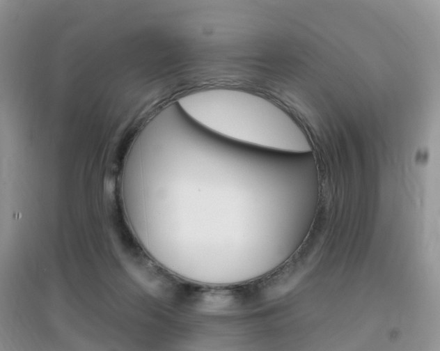 X0000096950214200802080928