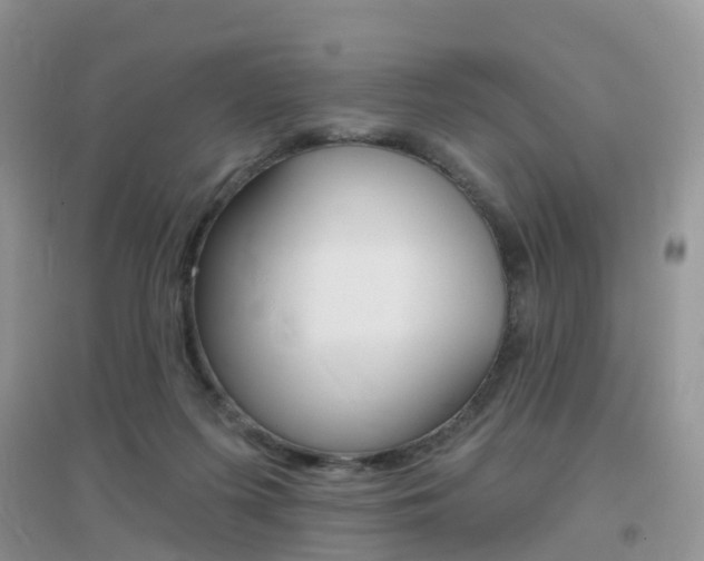 X0000096950215200802080928