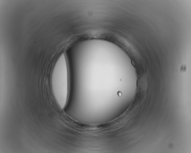 X0000096950217200802080928