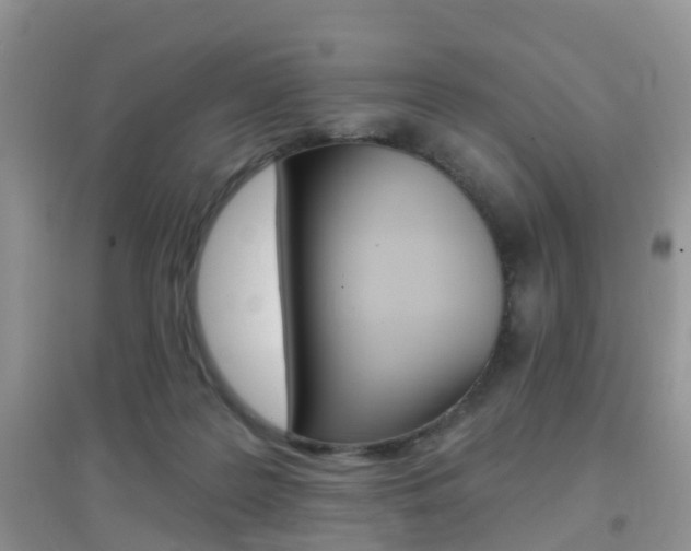 X0000096950219200802080928