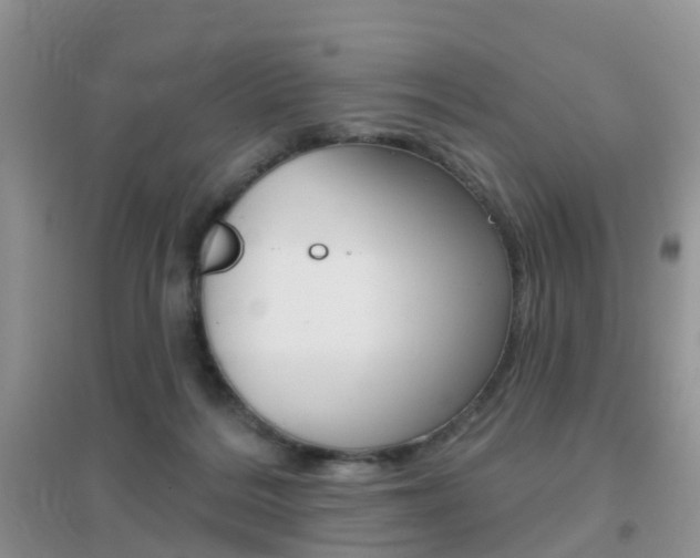 X0000096950220200802080928