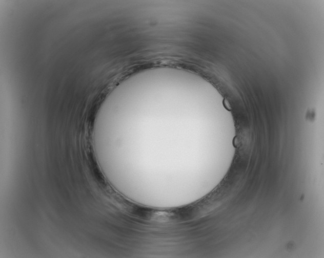 X0000096950222200802080928