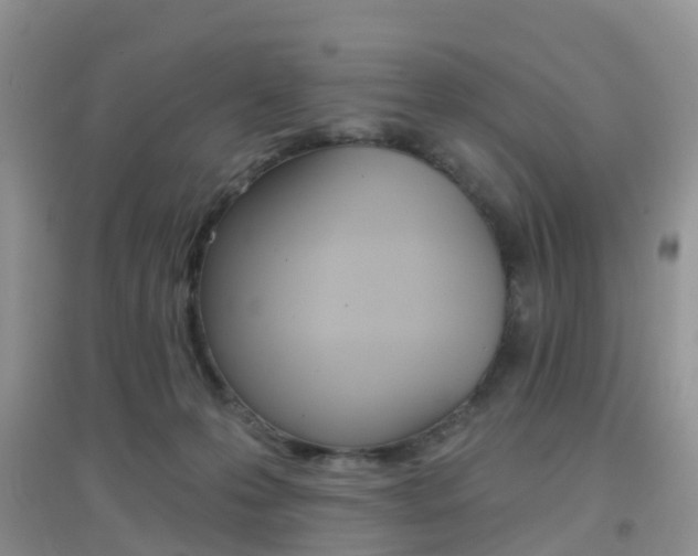 X0000096950223200802080928