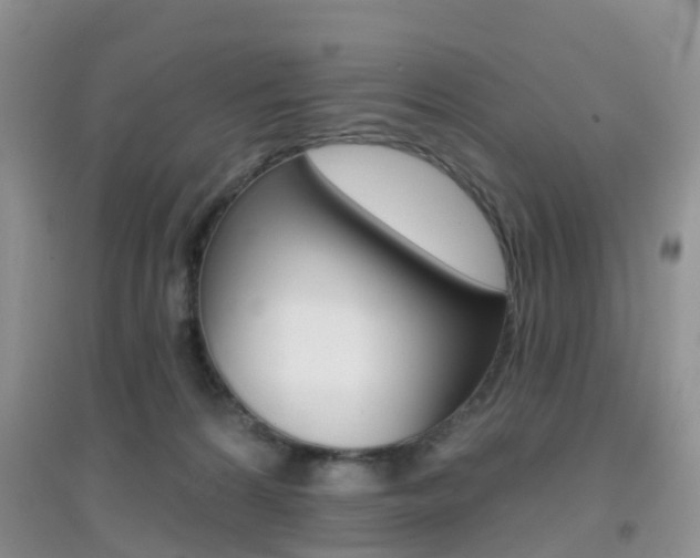 X0000096950224200802080928