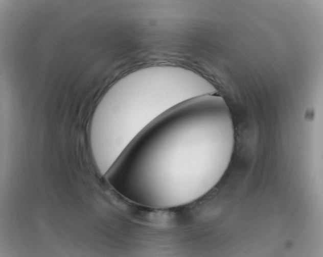 X0000096950225200802080928
