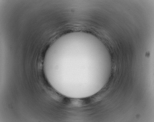 X0000096950226200802080928
