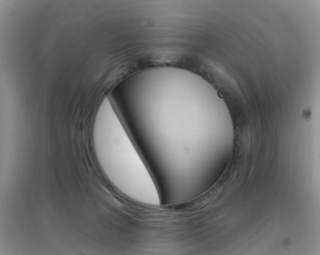X0000096950227200802080928