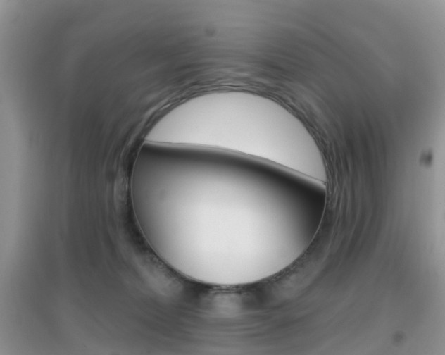 X0000096950228200802080928