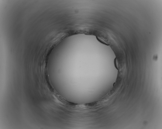X0000096950231200802080928