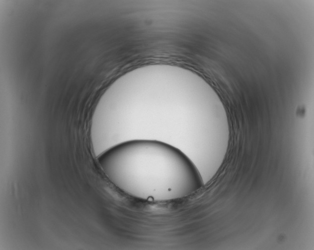 X0000096950232200802080928