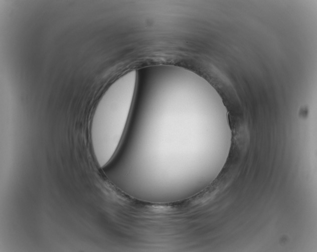 X0000096950233200802080928