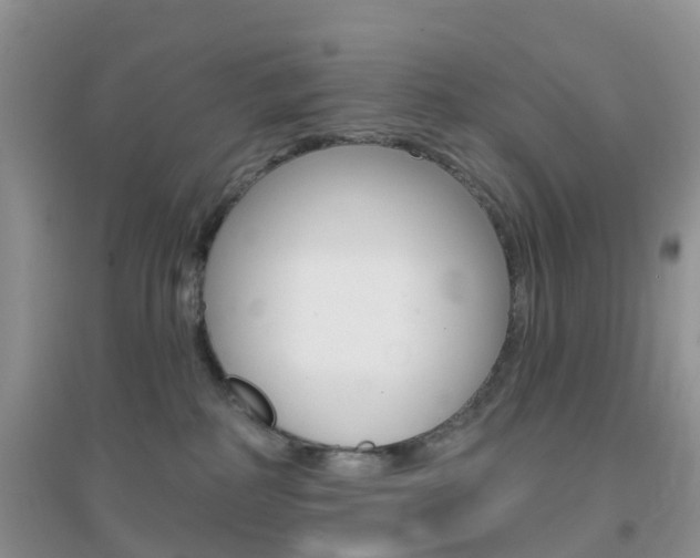 X0000096950234200802080928