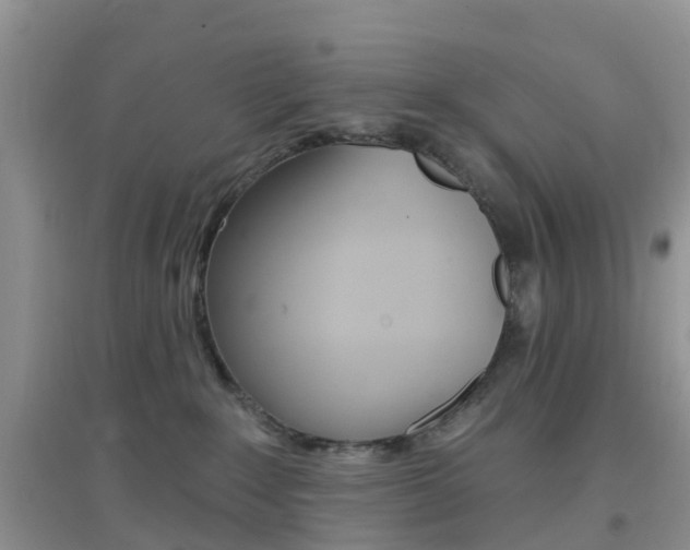 X0000096950235200802080927