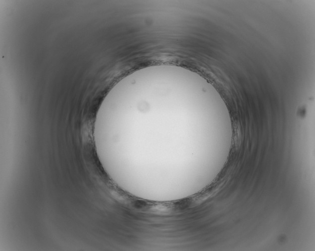 X0000096950236200802080927