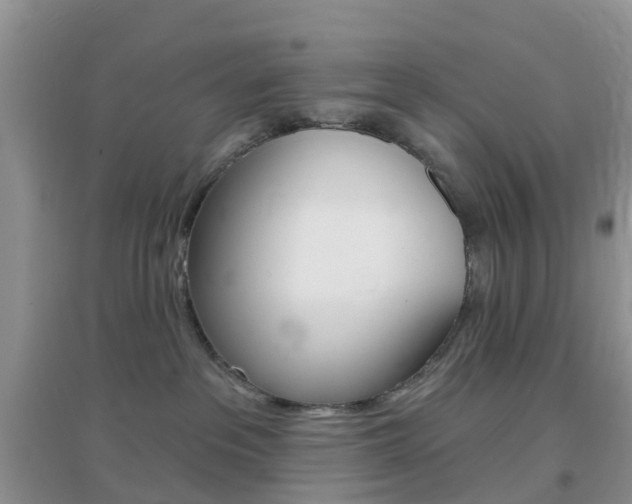 X0000096950237200802080927