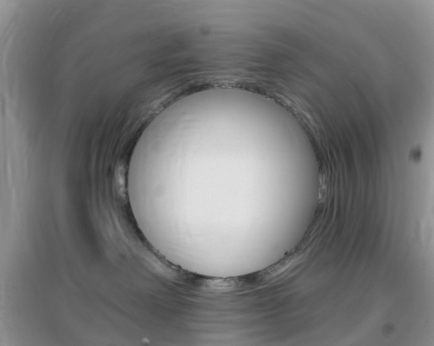 X0000096950238200802080927