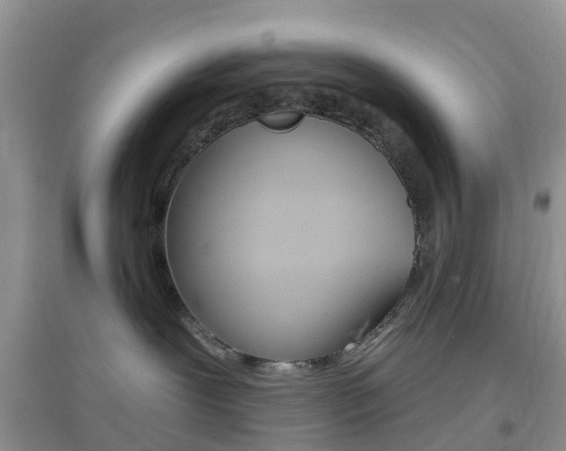 X0000096950239200802080927