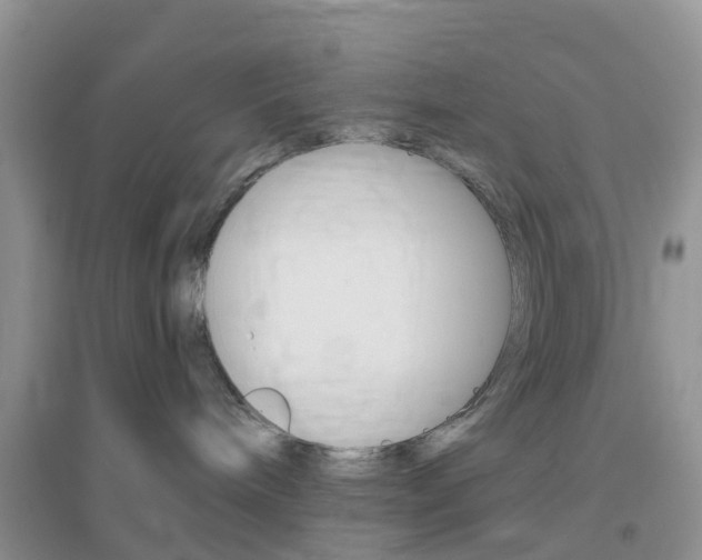 X0000096950240200802080927