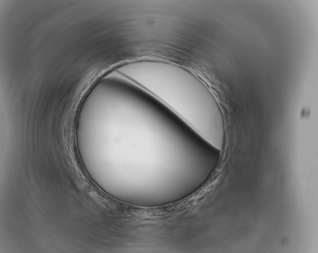 X0000096950241200802080927