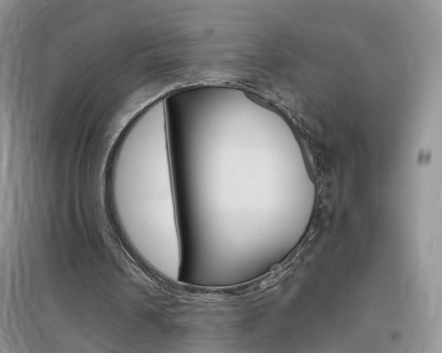 X0000096950242200802080927