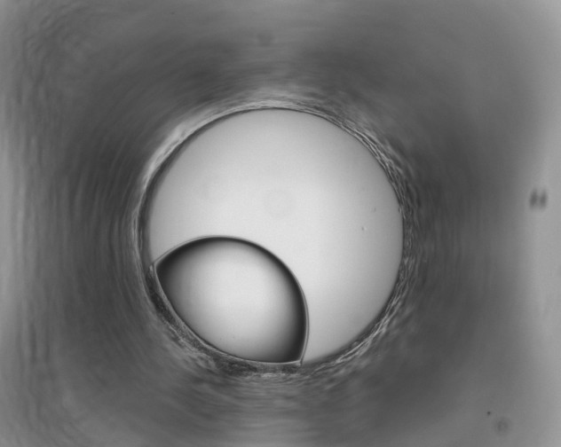 X0000096950244200802080927